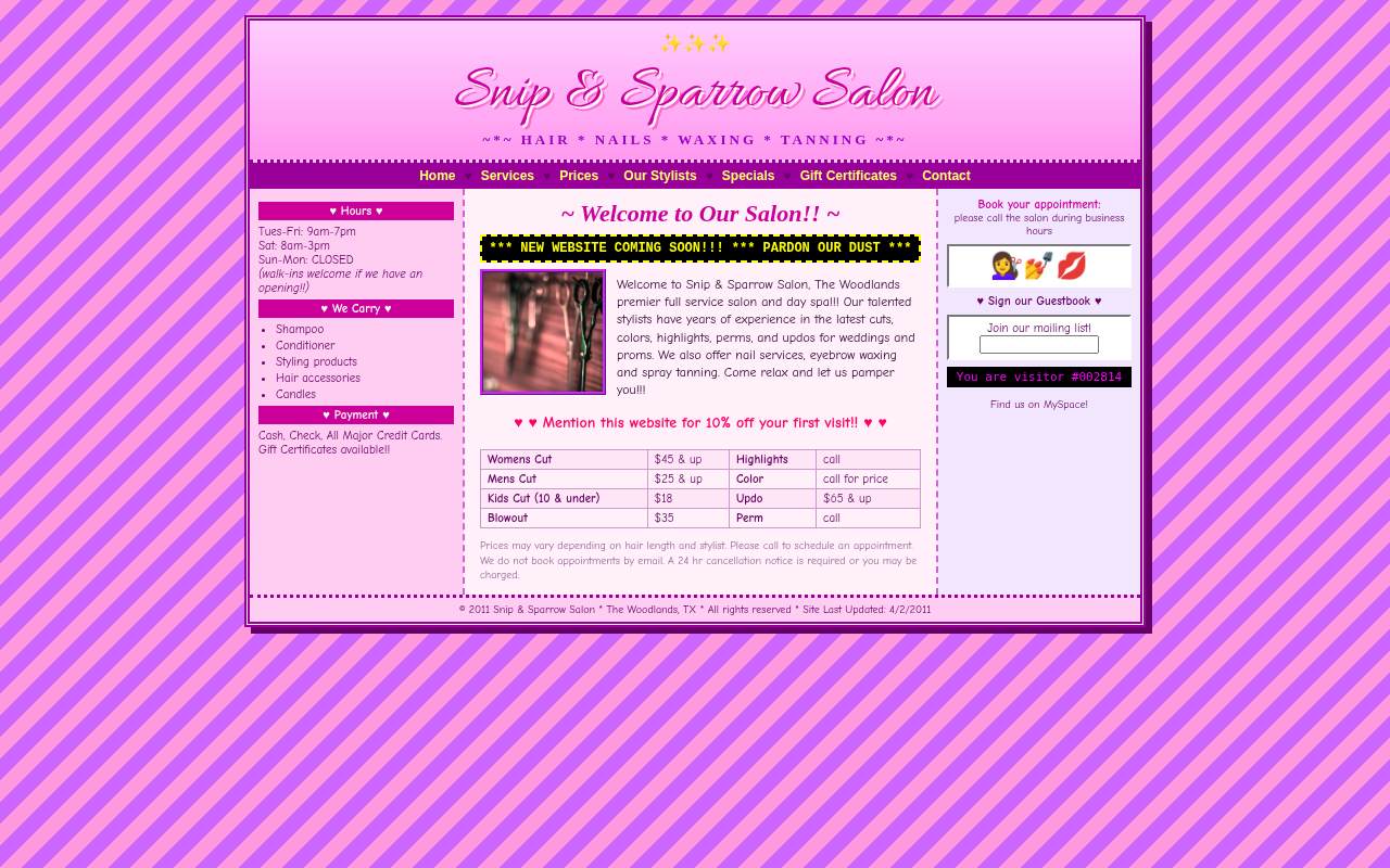 Before: the old, cluttered homepage for Snip & Sparrow Salon